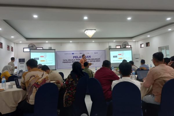 tata kelola pelindungan pmi dari desa